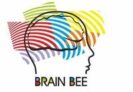 Międzynarodowy Konkurs Wiedzy Neurobiologicznej Brain Bee